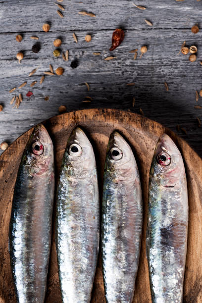 istock raw sardines on a rustic wooden table 1133547175