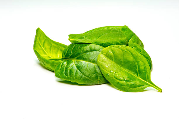 Baby spinach Baby spinach spinach photos stock pictures, royalty-free photos & images