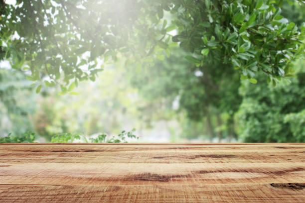 istock Wooden table and blurred green nature garden background. 1133548849