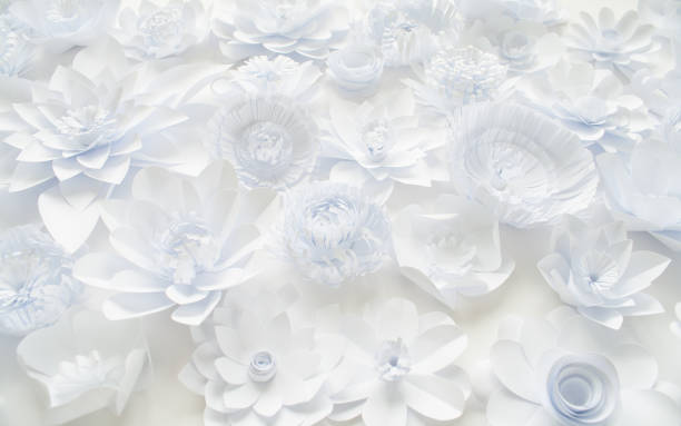 istock White paper flowers on white background. Floral 1133550068