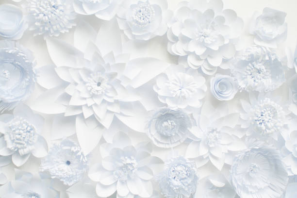 istock White paper flowers on white background. Floral 1133550074