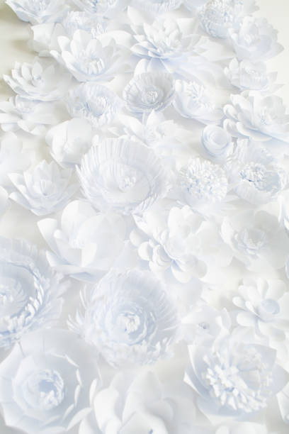 istock White paper flowers on white background. Floral 1133550079