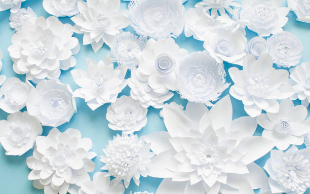 istock White paper flowers on blue background. Floral 1133550081