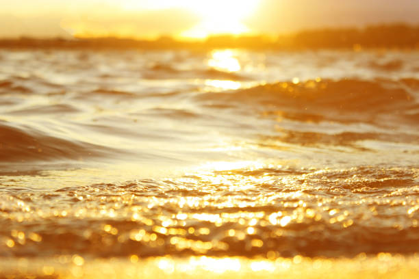 istock sunset in the water 1133550722