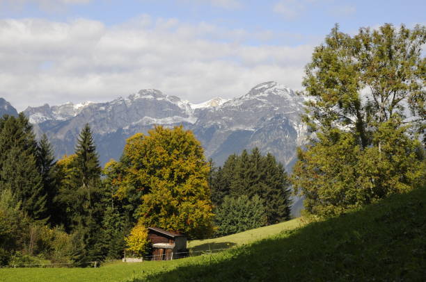 istock Zillertal and Rofan 1133553952