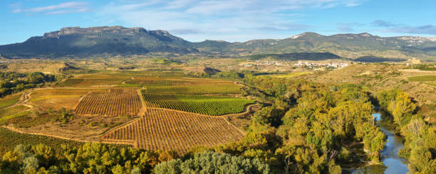 paesaggio con vigneti a la rioja, spagna - sonsierra foto e immagini stock