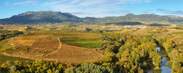 ラ・リオハ (スペイン) のブドウ畑のある風景 - sonsierra ストックフォトと画像