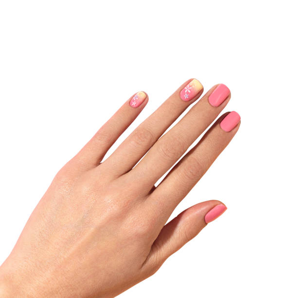 istock Woman's hands with beautiful manicure isolated on white background 1133558359