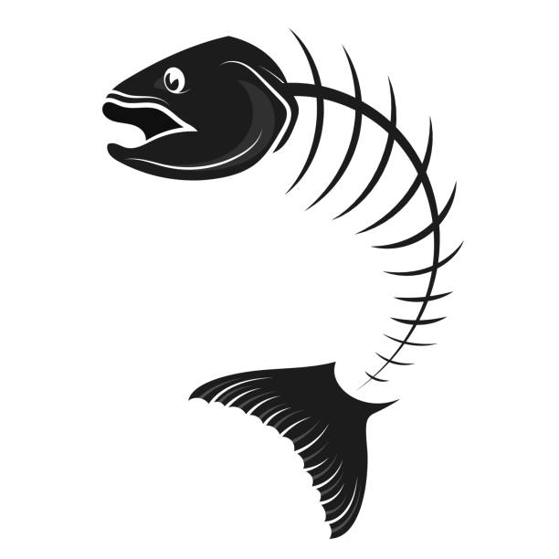 Fish skeleton vector Fish skeleton bone silhouette vector animal spine stock illustrations