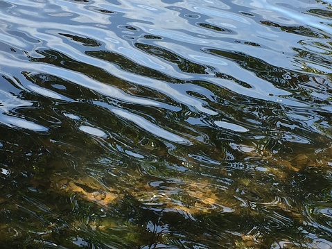 This is a photo of some rippled lake water.