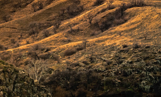 rocky landscape in autumn rocky landscape in autumn горная гряда stock pictures, royalty-free photos & images