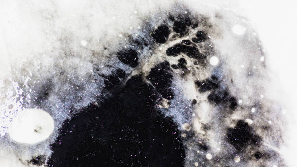 istock Black and White (B&W) watercolor background on nice textured white paper, tiny ink color particle penatrate insert to paper fibers creates beautiful abstract, look like huge star in the galaxy. 1133567734