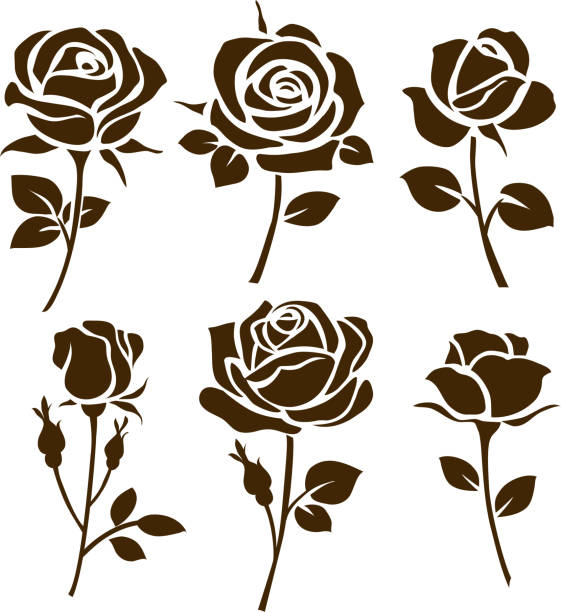 illustrations, cliparts, dessins animés et icônes de icône de fleur. ensemble de silhouettes de rose décoratif. vecteur rose - rose