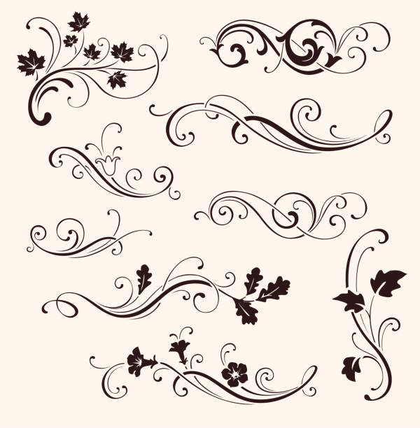 Set of calligraphic floral elements. Vector decorative twigs and flowers. Ornamental branches of trees Vector illustration tracery stock illustrations