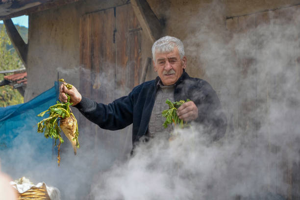Seyitgazi,Eskisehir,TURKEY-October 15,2016:Senior man is showing sugar beets while he is making molasses.