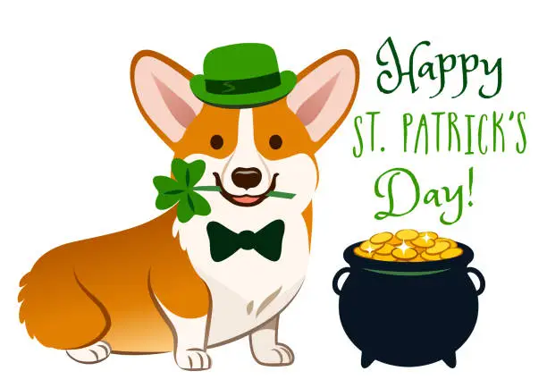Vector illustration of Cute Welsh corgi dog in St. Patrick's Day costume: green bowler hat and bow tie, holding shamrock in mouth. Pot of gold filled with coins,