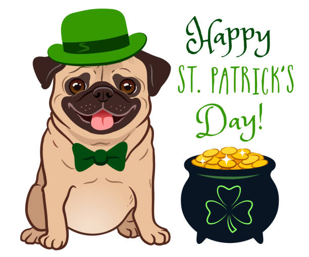 ilustraciones, imágenes clip art, dibujos animados e iconos de stock de lindo perro pug en el día de san patricio traje: sombrero de bolos verde y pajarita, pote de oro lleno de monedas, con signo de trébol. texto "feliz día de san patricio". tema de folklore festivo irlandés. - st patricks day dog irish culture leprechaun