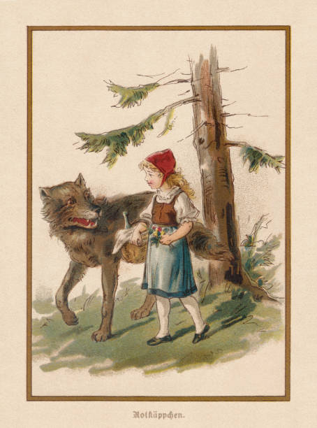 Little Red Riding Hood, European fairy tale, lithograph, published 1898 Little Red Riding Hood. An European fairy tale, written down by Jacob and Wilhelm Grimm. Chromolithograph after a drawing by Thekla Brauer, published in 1898. brothers grimm stock illustrations