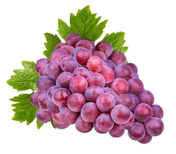 istock Purple grapes with leaves isolated on white background with clipping pass 1133578717