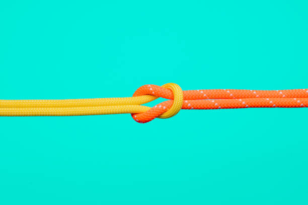 istock Collaboration and connection concepts, ropes and carabiners. 1133580027