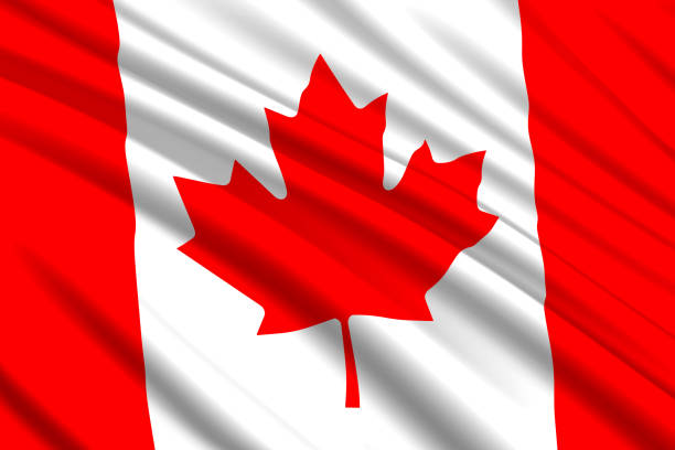 machanie flagą tła - flag canadian flag patriotism national flag stock illustrations