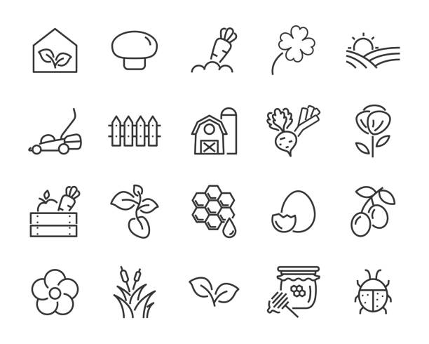 수확, 농장, 부활절, 꽃, 비, 정원 등의 봄 아이콘 세트 - rain sun sunlight cloud stock illustrations