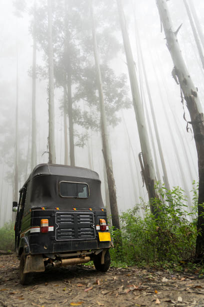 istock Fog in cloud forest black and white Sri Lanka 1133589729