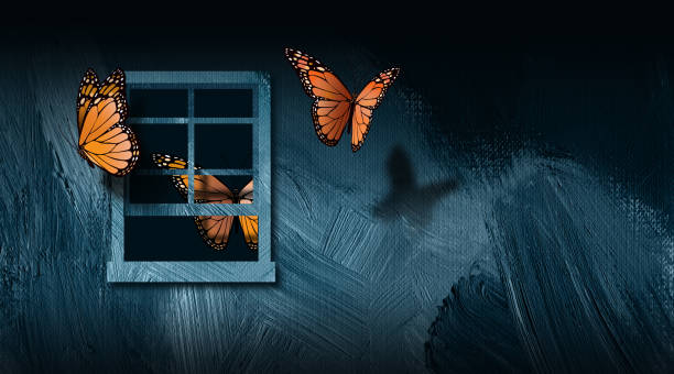 graficzne motyle w otwartym oknie i poza ich częścią abstrakcyjne tło - shut in stock illustrations