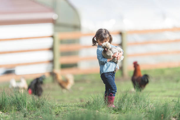 istock A girl and her chicken 1133592422