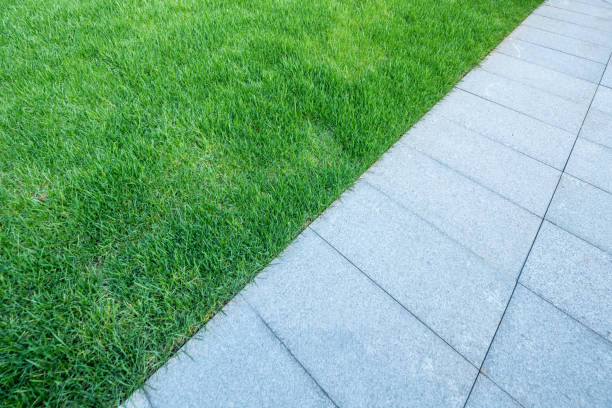 istock Green lawn and marble tiles 1133594077