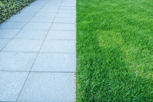 istock Green lawn and marble tiles 1133594111