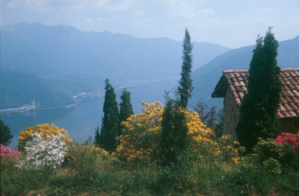 istock Landscape on Lake Garda, Italy 1133597317