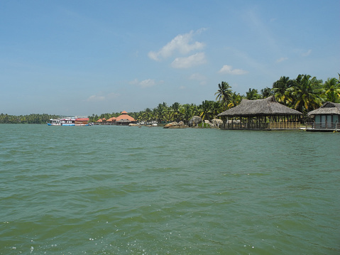 Backwaters and coconut palms, Trivandrum, Kerala, India
