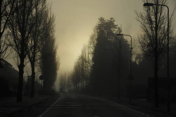 istock Misty city morning 1133597797