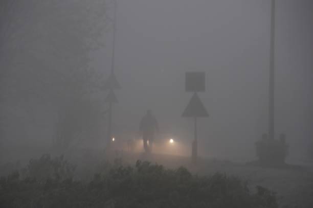 chodzenie we mgle - street light fog morning country road zdjęcia i obrazy z banku zdjęć