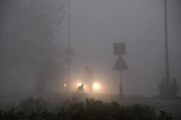 chodzenie we mgle - street light fog morning country road zdjęcia i obrazy z banku zdjęć