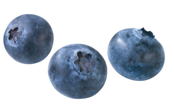 Blueberries Three blueberries, isolated amerikanische heidelbeere stock pictures, royalty-free photos & images