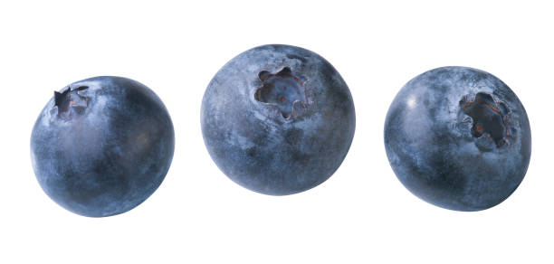 Blueberries Three isolated blueberries amerikanische heidelbeere stock pictures, royalty-free photos & images