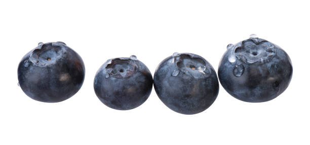 Blueberries Several blueberries in a row, isolated amerikanische heidelbeere stock pictures, royalty-free photos & images