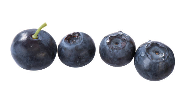 Blueberries Several blueberries, isolated amerikanische heidelbeere stock pictures, royalty-free photos & images