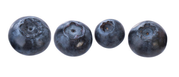 Blueberries Various blueberries, isolated amerikanische heidelbeere stock pictures, royalty-free photos & images