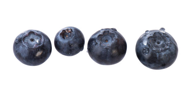 Blueberries Several blueberries in a row, isolated amerikanische heidelbeere stock pictures, royalty-free photos & images