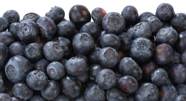 Blueberries Various blueberries amerikanische heidelbeere stock pictures, royalty-free photos & images