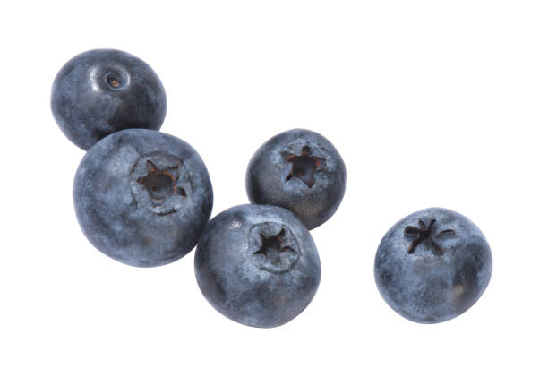 Blueberries Several blueberries, isolated amerikanische heidelbeere stock pictures, royalty-free photos & images