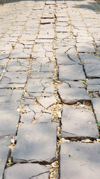 istock view  stone floor in the garden 1133599069
