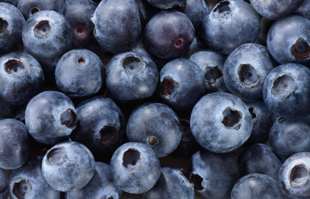 Blueberries Group of blueberries, isolated amerikanische heidelbeere stock pictures, royalty-free photos & images