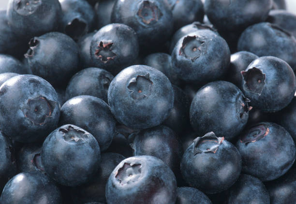Blueberries Full picture of blueberries amerikanische heidelbeere stock pictures, royalty-free photos & images