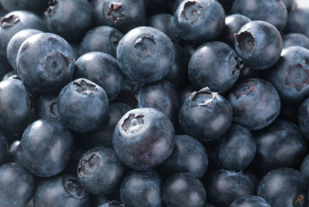 Blueberries Fresh blueberries amerikanische heidelbeere stock pictures, royalty-free photos & images