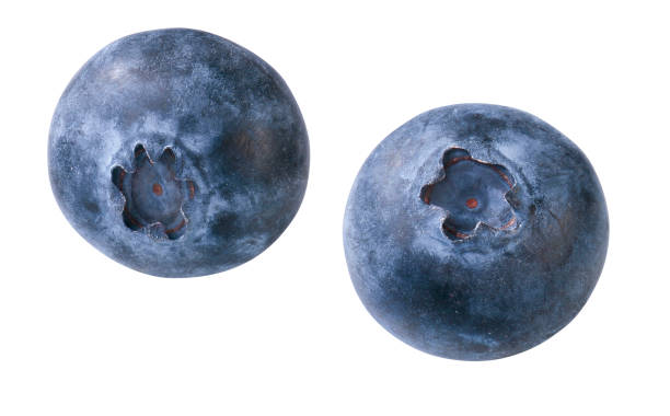 Blueberries Two isolated blueberries amerikanische heidelbeere stock pictures, royalty-free photos & images