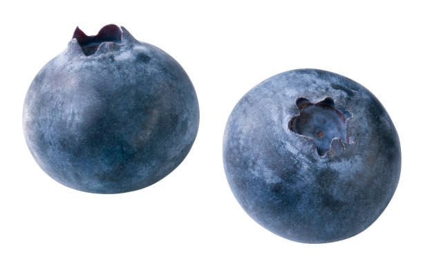 Blueberries Two fresh blueberries, isolated amerikanische heidelbeere stock pictures, royalty-free photos & images